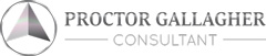 Proctor Gallagher Consultant